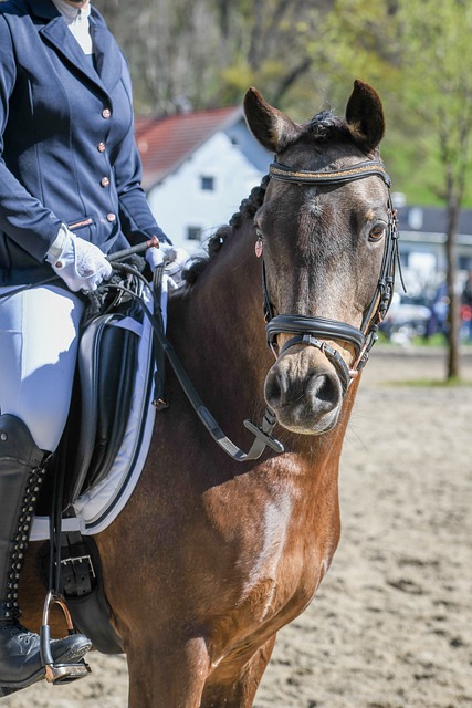 反观宁波男 反观宁波男