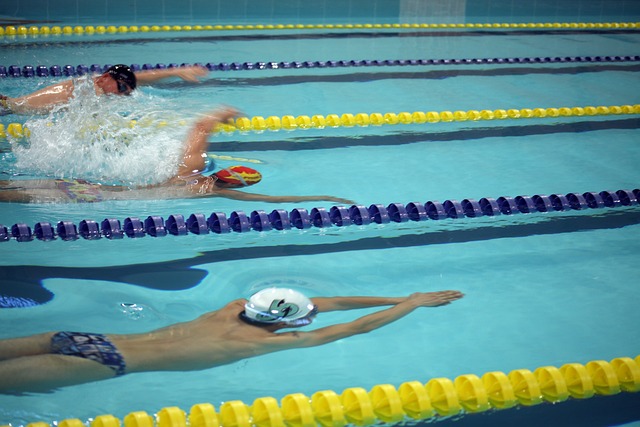 敏锐的比赛 敏锐的比赛