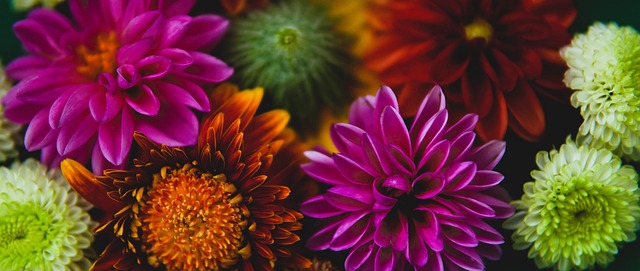 排名变化的 排名变化的