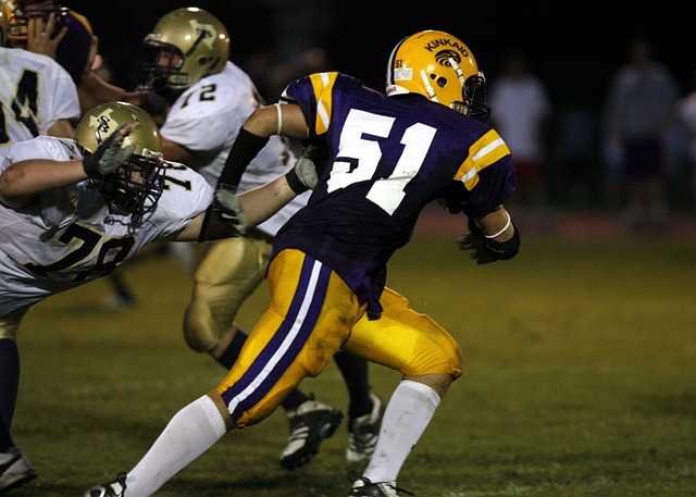 达里达的退 达里达的退