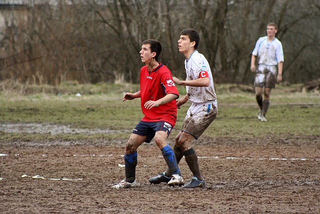 评价与未来 评价与未来