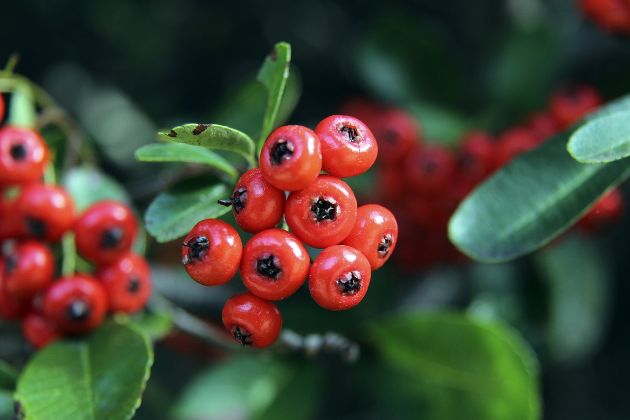 却因过往辉 却因过往辉