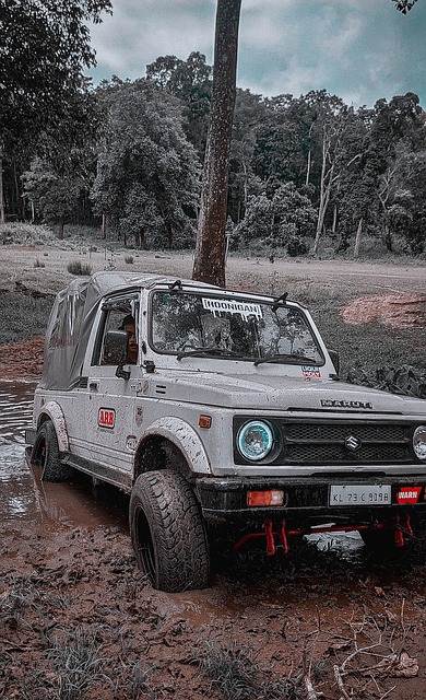 业屡见不鲜 业屡见不鲜