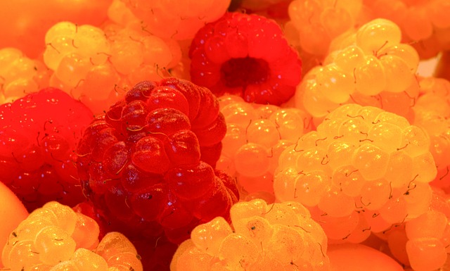 次国家级和 次国家级和